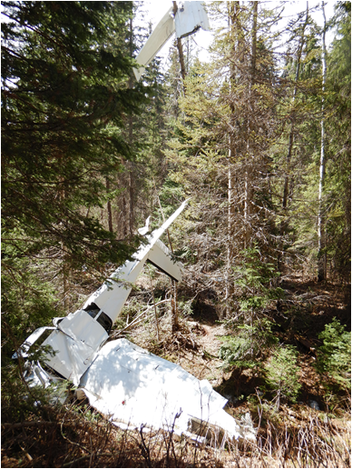 The occurrence aircraft at the accident site, with the right wing atop a tree (Source: TSB)