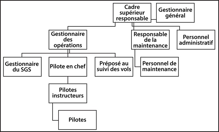 Structure organisationnelle de North Star Air (Source : North Star Air, Company Operations Manual, révision 6 [16 janvier 2019], section 2.1, p. 2.1-1)