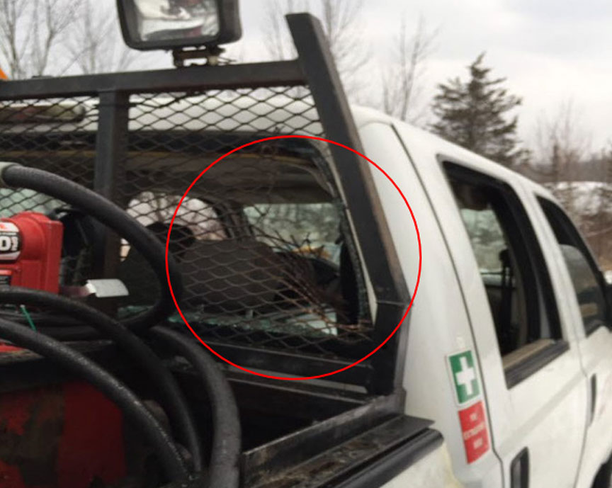 Dommages causés par une selle projetée à travers la lunette arrière du véhicule rail-route du CN
