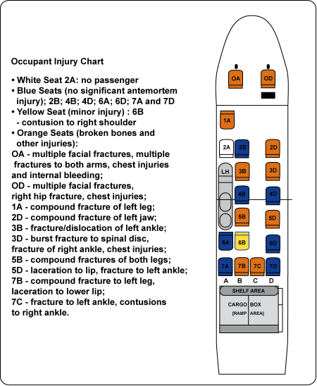 Image of the occupant injury chart.