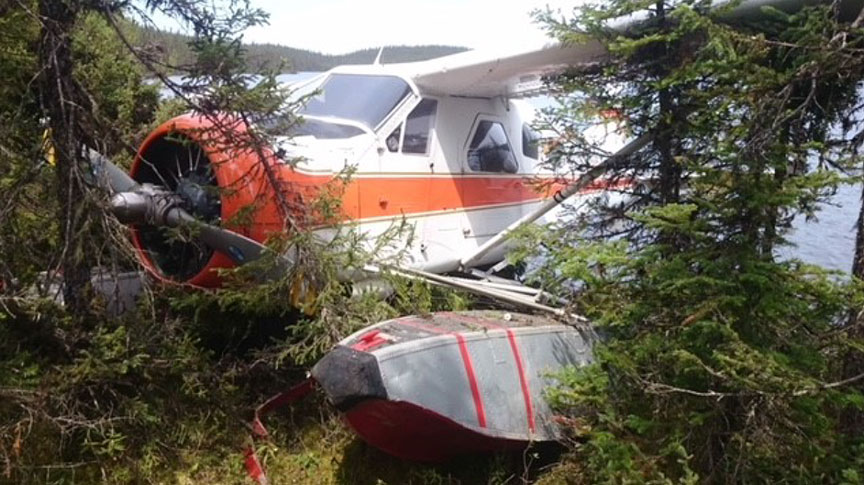 The aircraft after colliding with trees