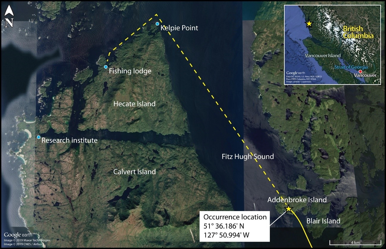 Intended flight path and occurrence site, with inset image showing a broader view of the location (Source of both images: Google Earth, with TSB annotations)