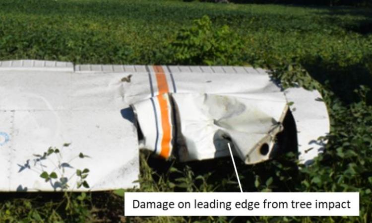 Photo of the damage to the left wing (Source: TSB)
