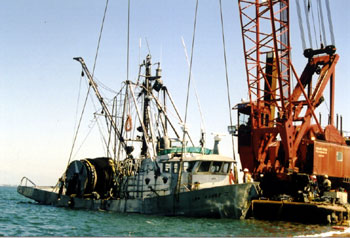 Photo 3 - Cap Rouge II raised upright at the time of salvage. 15 August 2002