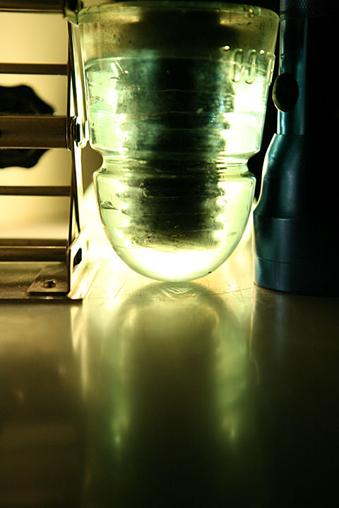 Image of the green insulator reflective test