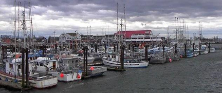 Port Steveston (Colombie-Britannique). Vue de plusieurs bateaux de pêche à cuillères, à filets maillants et de crabiers au bout du quai de la 3e avenue, en regardant vers l'est.