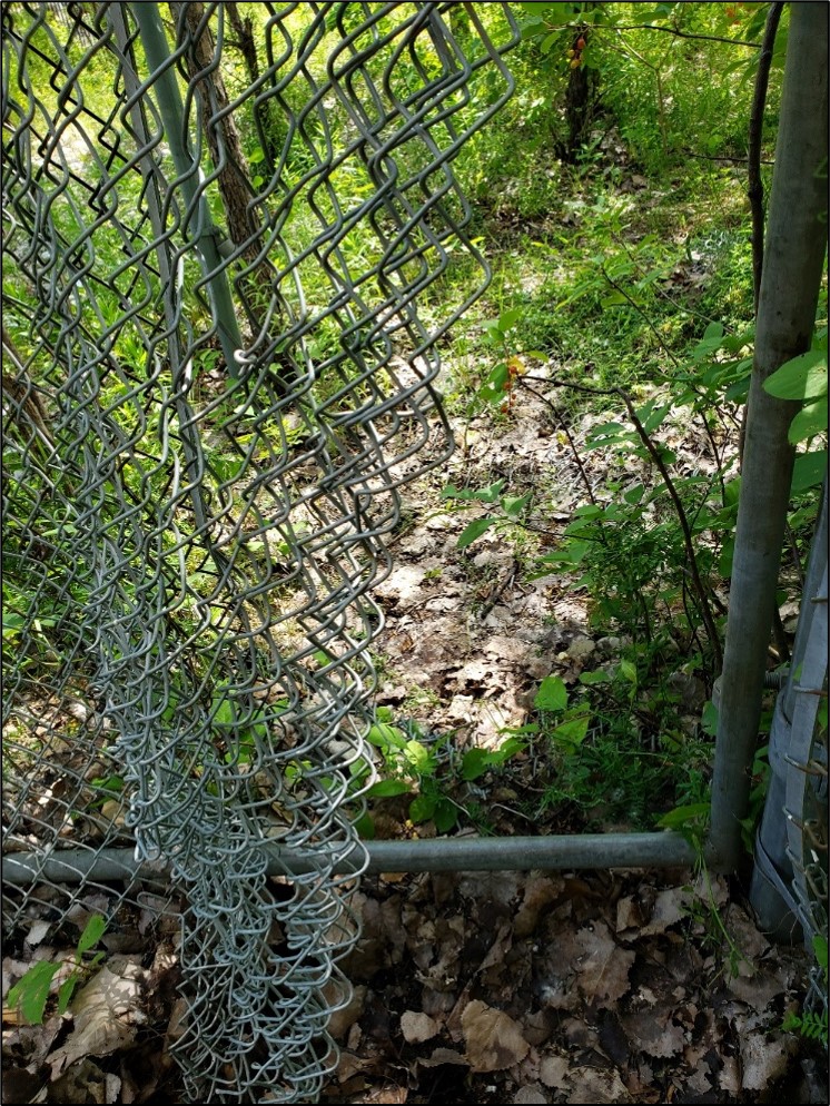 Clôture métallique vandalisée en bordure de l’embranchement d’Outremont (Source : BST)