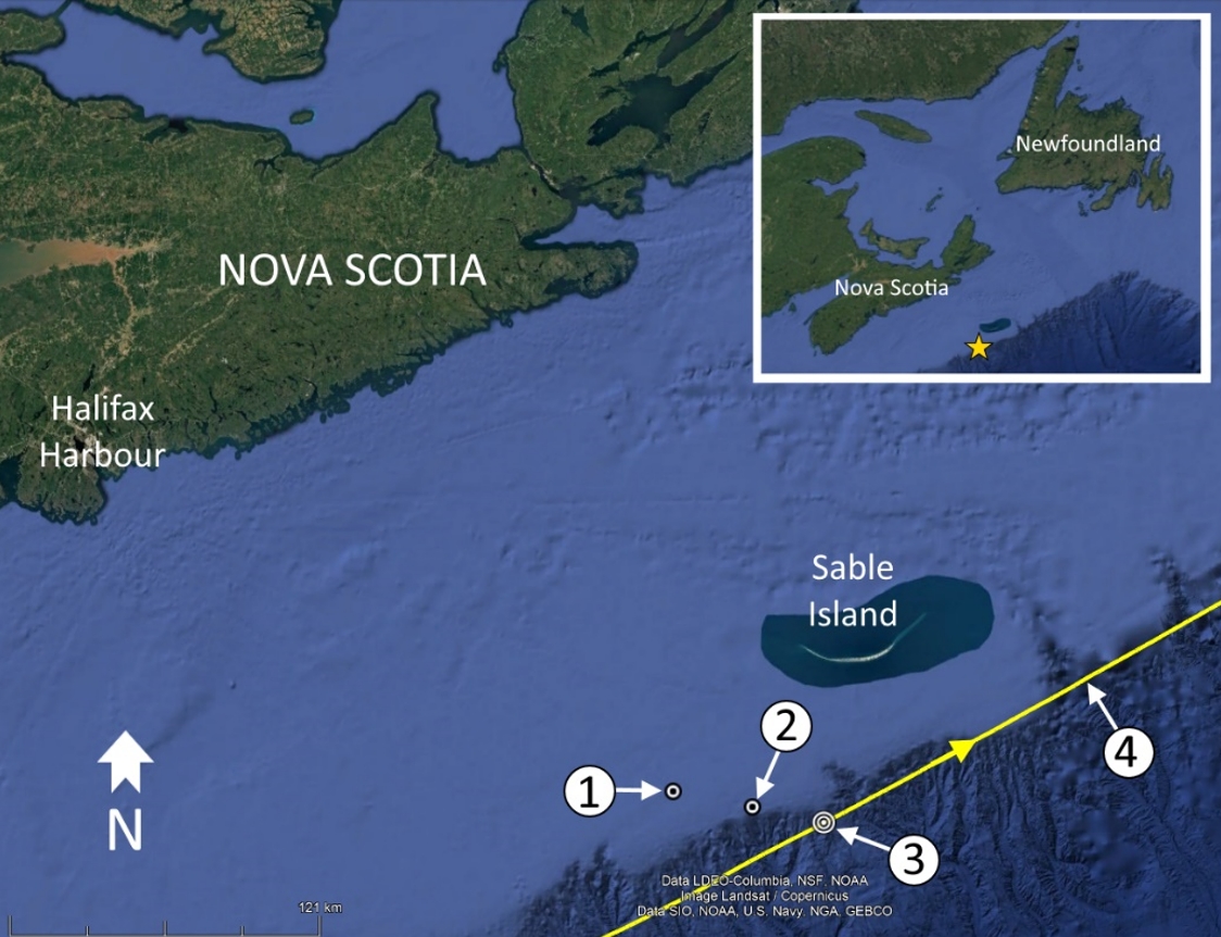 Figure 1. Location of the Theros’s last AIS signal (1), the Theros’s last known position (2), possible collision location with the tanker (3), and the tanker’s AIS track (4), with inset image showing a larger view of the area (Source: Google Earth, with TSB annotations) Figure 1. Location of the Theros’s last AIS signal (1), the Theros’s last known position (2), possible collision location with the tanker (3), and the tanker’s AIS track (4), with inset image showing a larger view of the area (Source: Google Earth, with TSB annotations)